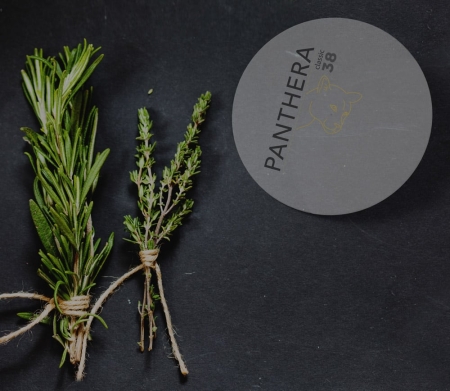 Rosmarin & Thymian mit Bierdeckel Panthera 38 - Adobe Stock 105353505